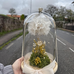 FANAL DESEO ETERNO - Imagen 1