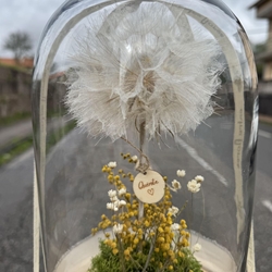 FANAL DESEO ETERNO - Imagen 2