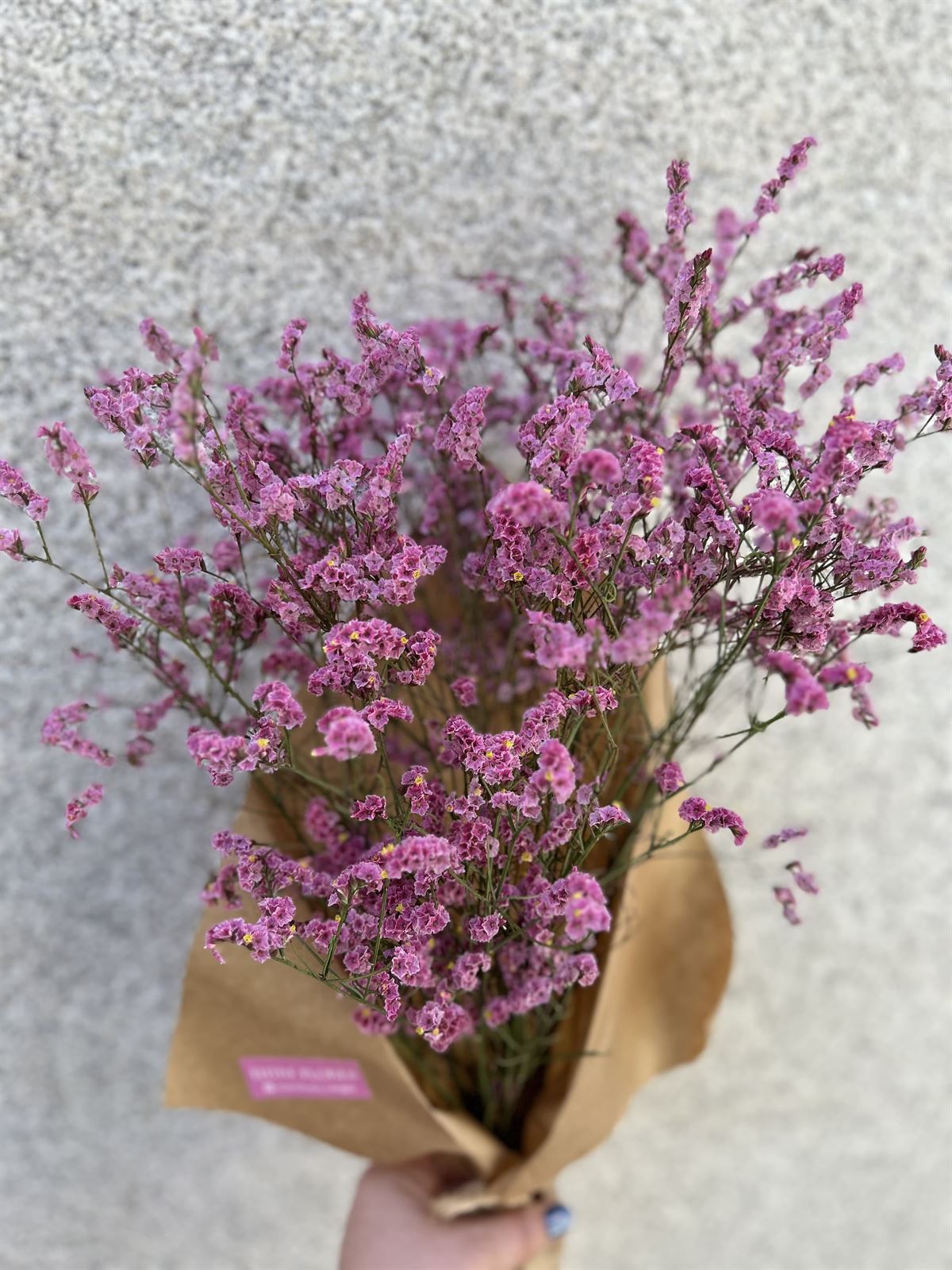 RAMITO LIMONIUM - Imagen 3